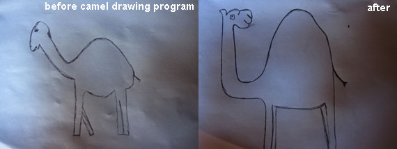 How to Draw a Camel