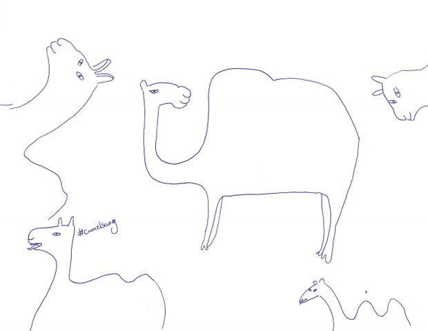 How to Draw a Camel